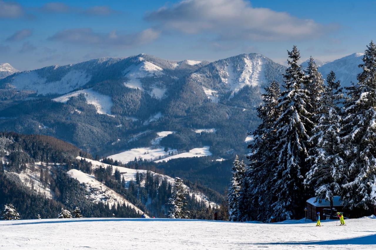 Отель Gasthof Zum Jaegerwirt Мариацелль Экстерьер фото